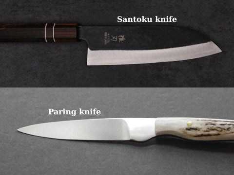 Santoku Knife vs Paring Knife: Which One Do You Really Need?