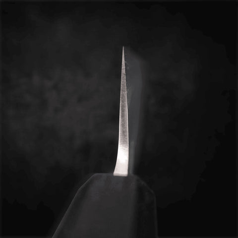 Gyuto SKD11 Nashiji 210mm - Kasumi Japan