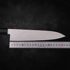Gyuto VG-10 Damascus 210mm - Kasumi Japan