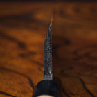 Sakai Takayuki Kasumitogi Deba 180mm (7.1")
